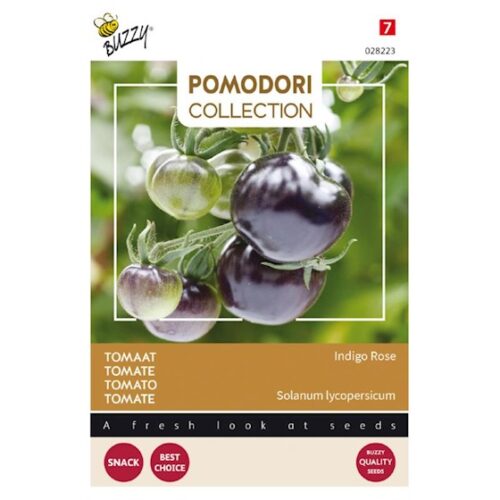 Pomodori Tomaat Indigo rose