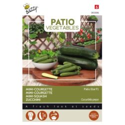 Patio Veggies, Courgette Patio Star