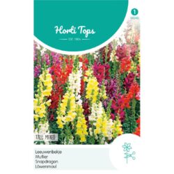 HT Antirrhinum, Leeuwenbekje hoog gemengd