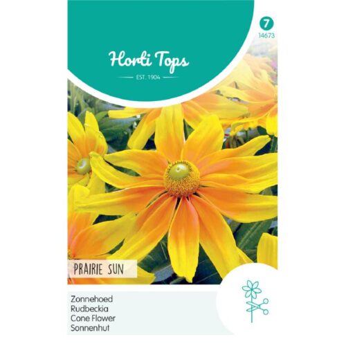 HT Rudbeckia, Zonnehoed Prairie Sun (14673)