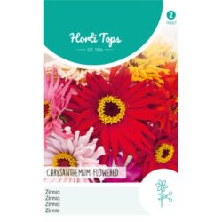 HT Zinnia Chrysanthbloemig gemengd (14867)