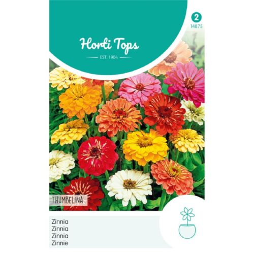 HT Zinnia Thumbelina laag gemengd (14875)