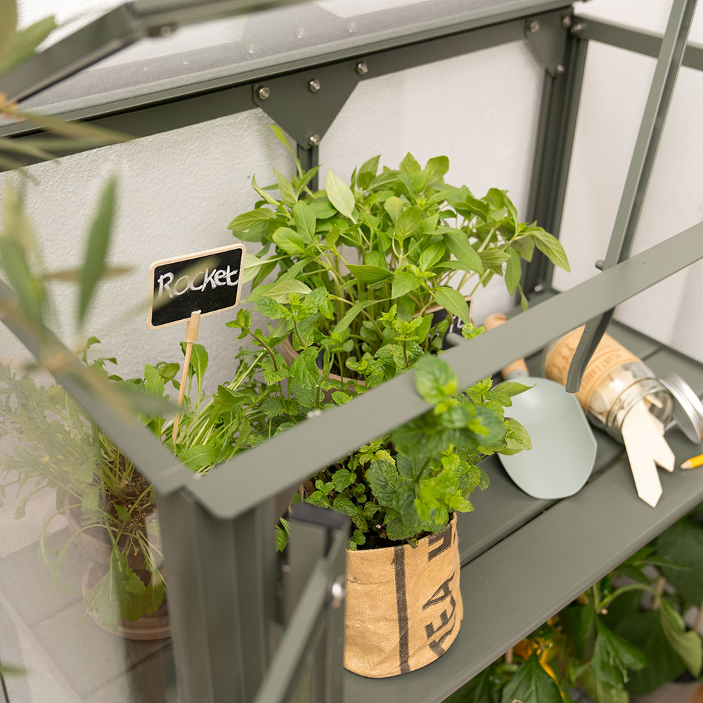 Royal Well Kweekkast - Urban Grower Medium - Afbeelding 3