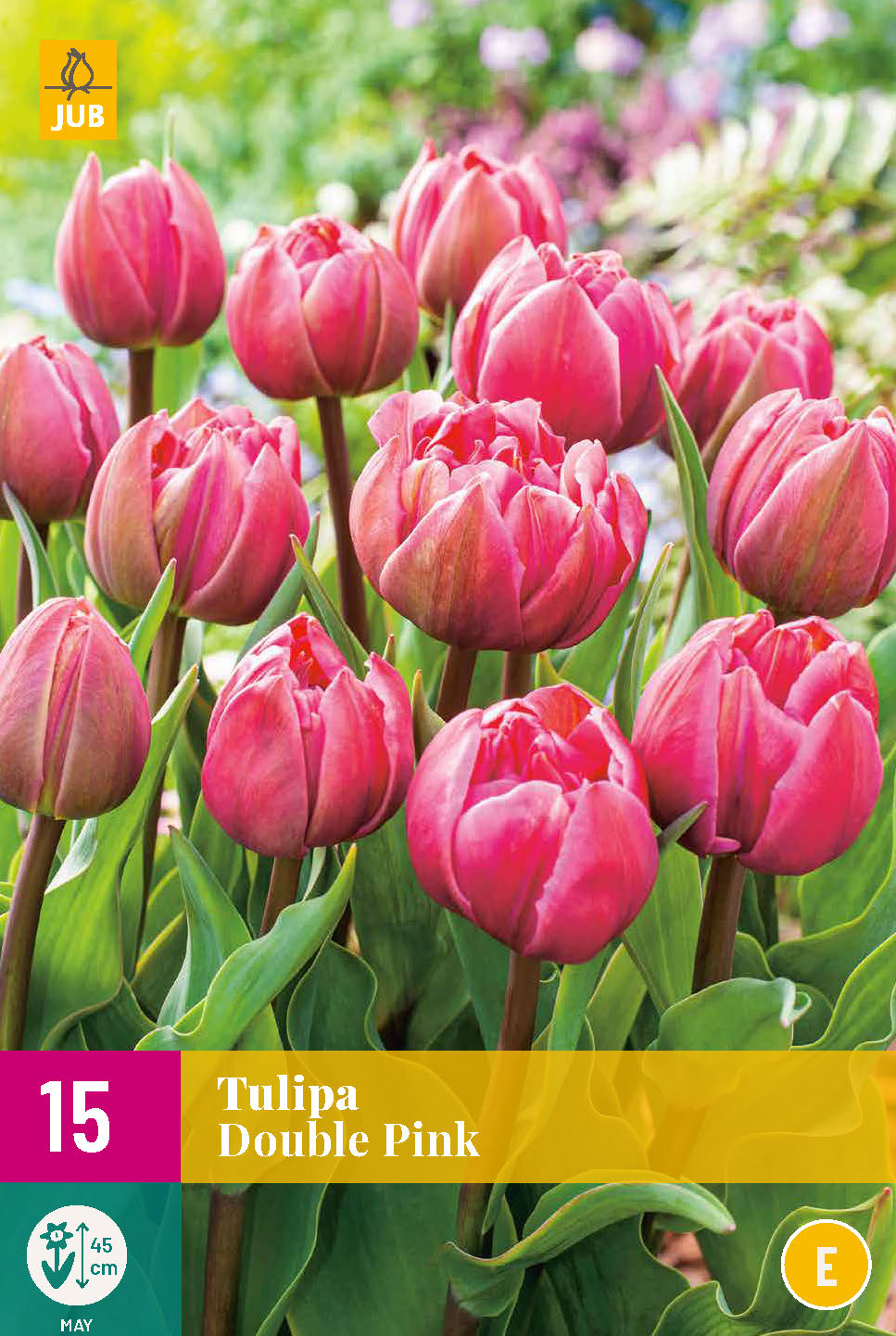 Tulp Double Pink 15st.