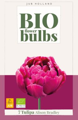 BIO Tulp Alison Bradley 7st.