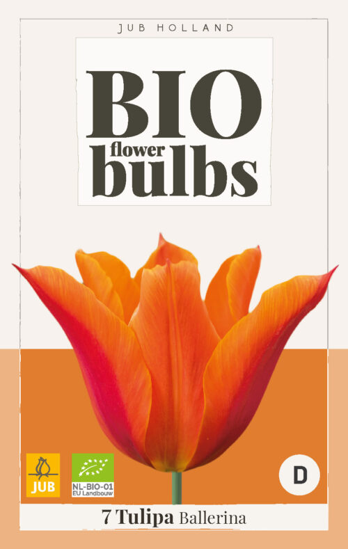 Bio Tulp Ballerina