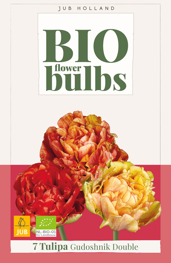 BIO Tulp Gudoshnik Double 7st.