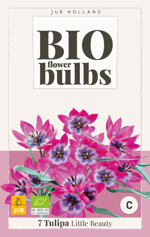 Bio Tulpen Little Beauty 7st