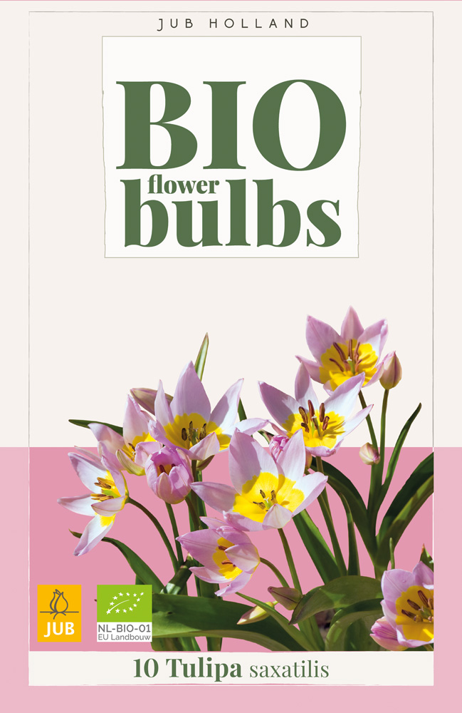 BIO Tulp Saxatilis 10st.