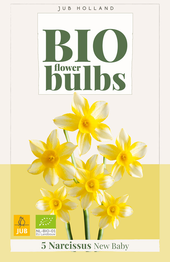 BIO Narcis New Baby 5st