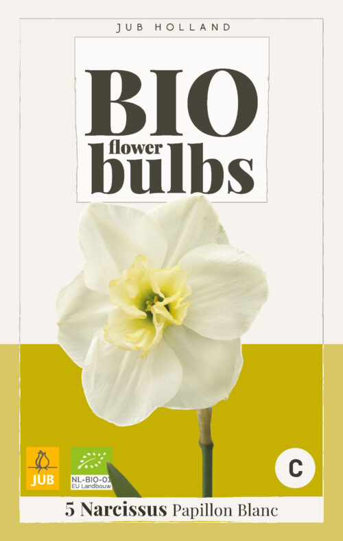 Bio Narcissus Papillon Blanc 5st