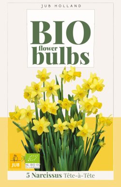 Bio Narcissus Tête-á-Tête 5st