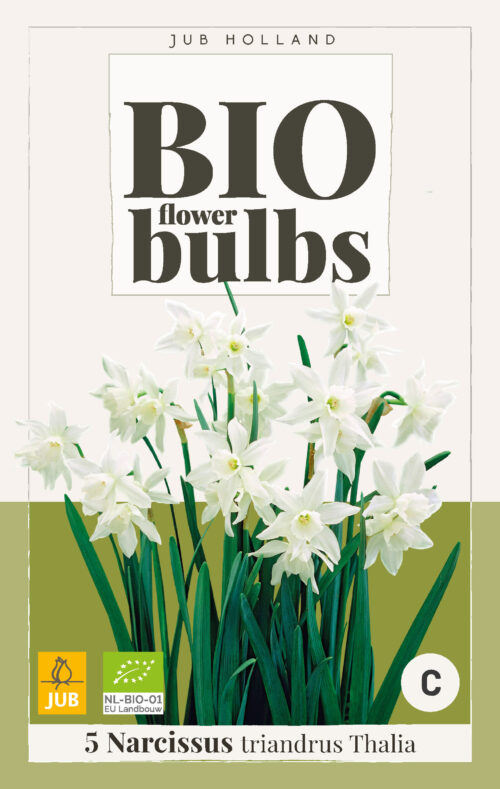 Bio Narcissus Triandrus Thalia 5st