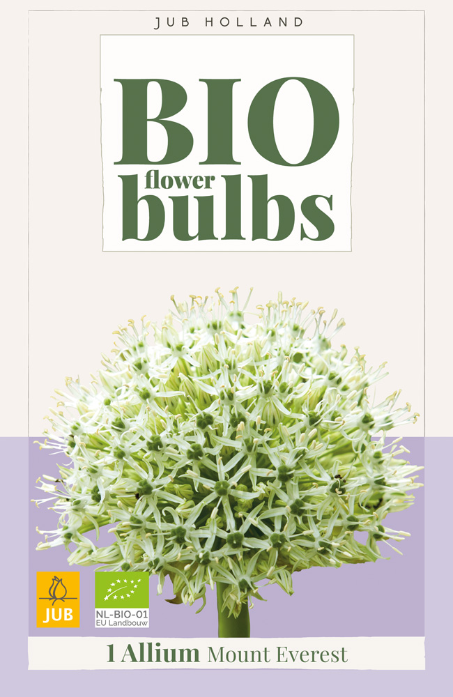 Bio Allium Mount Everest 1st.