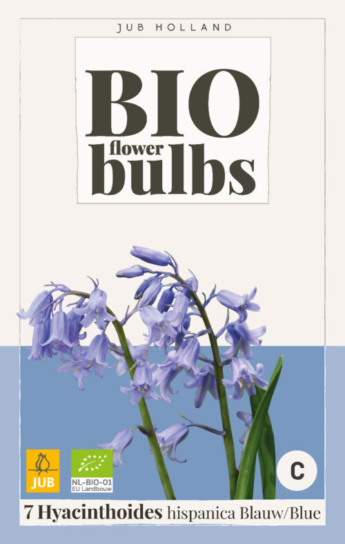 Bio Hyacinthoides Hispanica Blue 7st