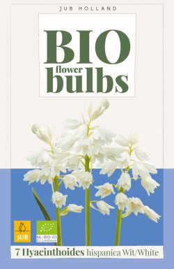 Bio Hyacinthoides Hispanica Wit 7st
