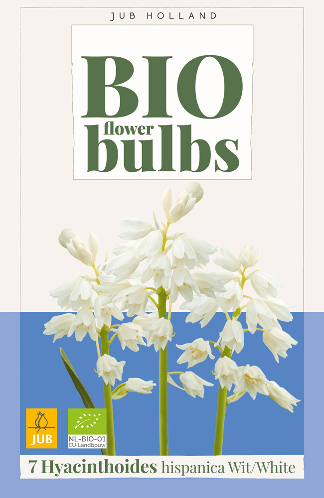 Bio Hyacinthoides Hispanica Wit 7st