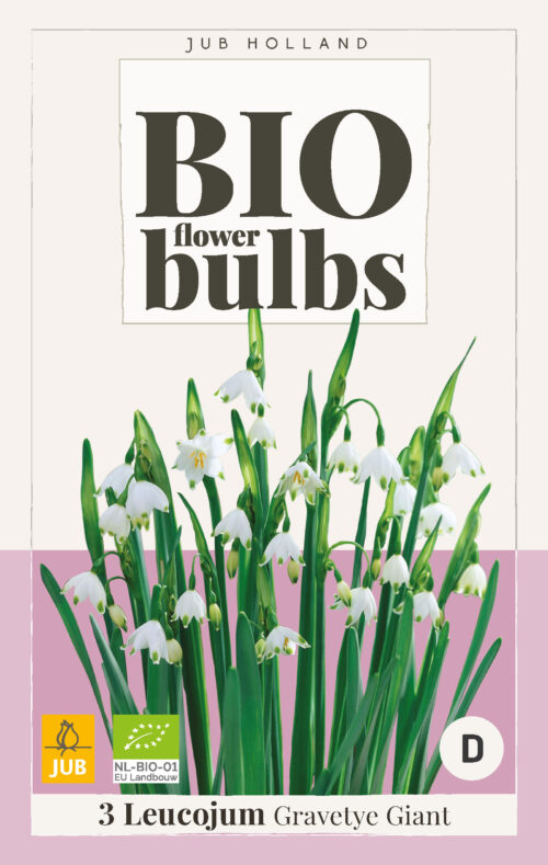 Bio Leucojum Gravetye Giant 3st