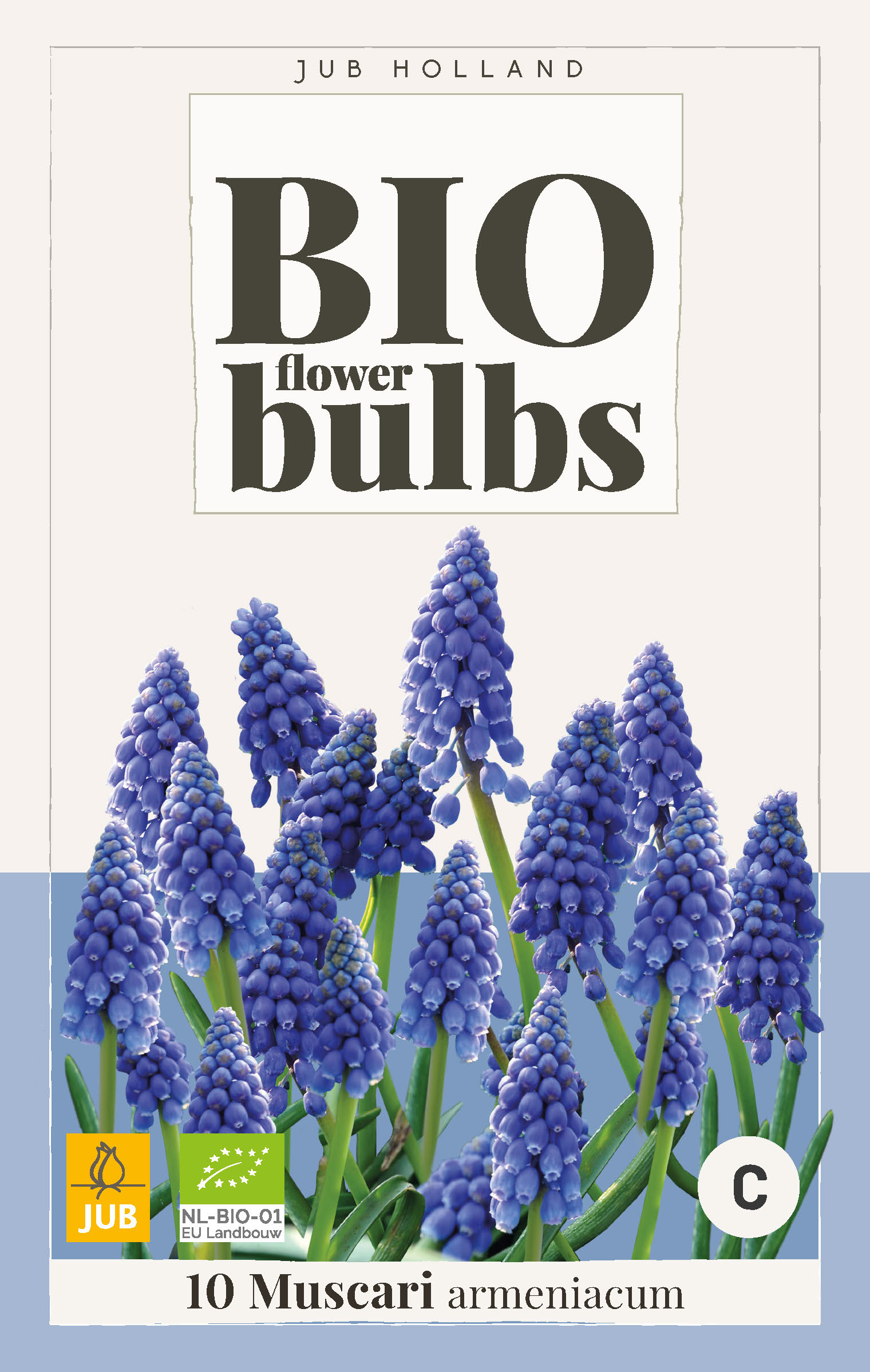 Bio Muscari Armeniacum 10st.