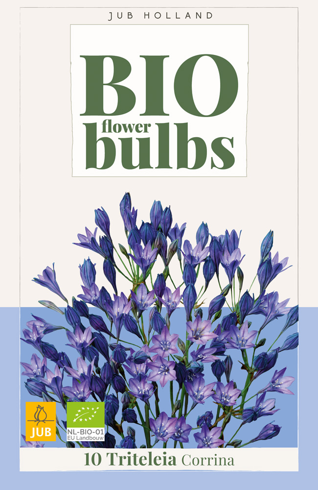 BIO Triteleia Corrina 10st.