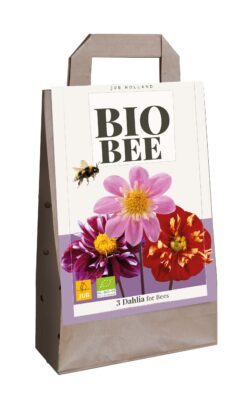 Biologische Dahlia Mix