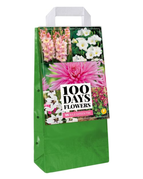 Tas 125 Bulb Garden Pink