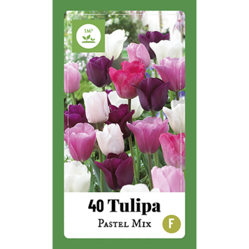 Tulpen Pastel Mix 40st.