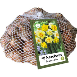 Narcissus Dubbel Mix 40st.