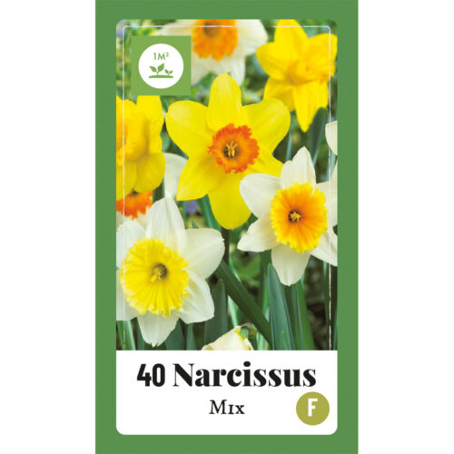 Narcissus Mix 40st.