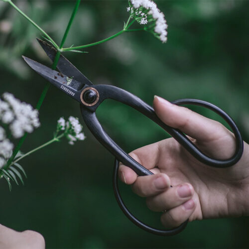 Barebones Pruning Shears