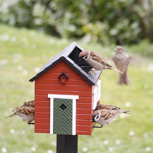 Voederhuis voor vogels met bad Rood