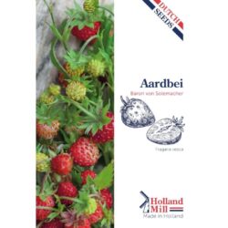 Holland Mill Aardbeien Baron v Solemacher(52000)