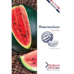 Holland Mill Watermeloen Sugar Baby (52434)