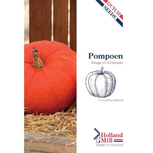 Holland Mill Pompoenen Rode van Etampes(52483)