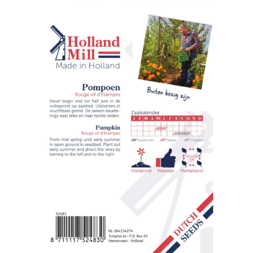 Holland Mill Pompoenen Rode van Etampes(52483)
