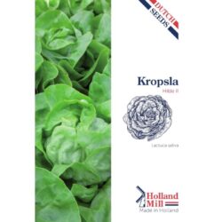 Holland Mill Kropsla Hilde (52615)