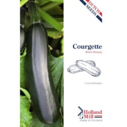 Holland Mill Courgette Black Beauty - Verte De Milan(52960)