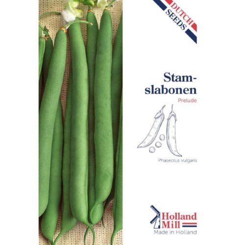 Holland Mill Stam (Lage) Slabonen Prelude Z. Dr. (53172)