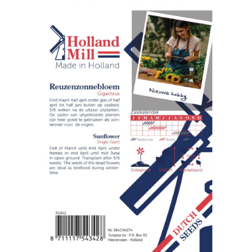 Holland Mill Helianthus Zonnebloem giganteus (54342)