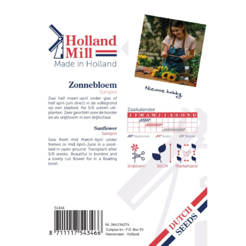 Holland Mill Helianthus Zonnebloem laag Sunspot(54346)