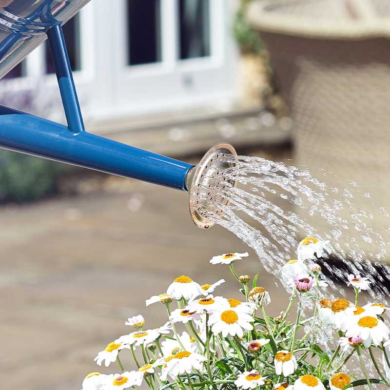 Smart Garden Broeskop voor Gieter 4,5 Liter - Afbeelding 2