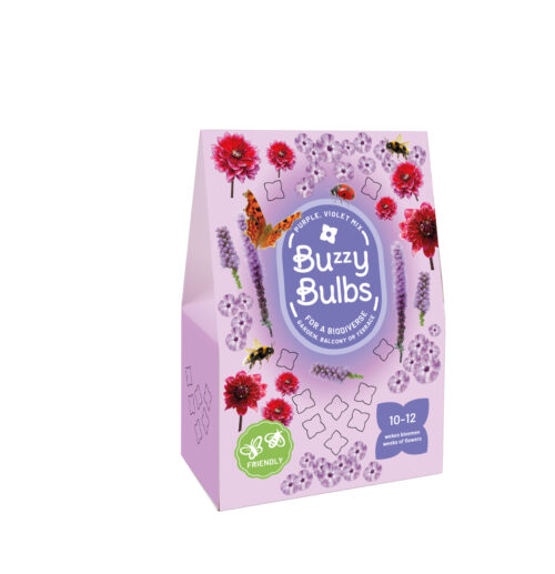 Buzzy Bulbs Paars - Violet Mix