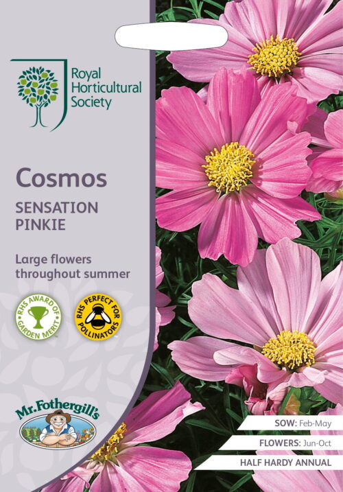 RHS zaden Cosmos Sensation Pinkie