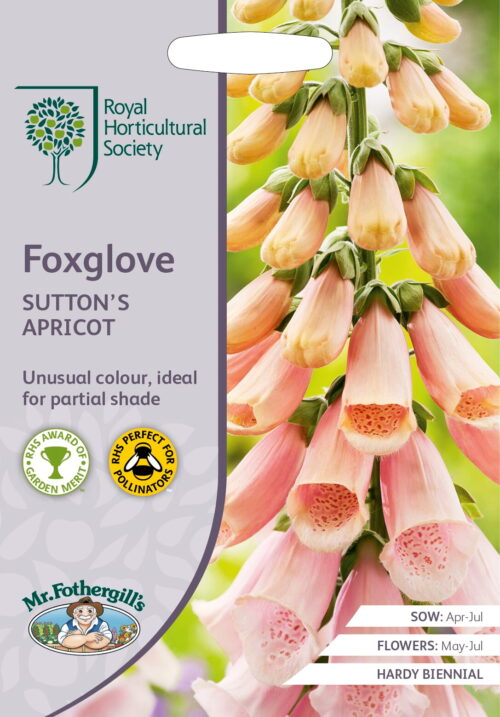 RHS zaden Foxglove Suttons Apricot