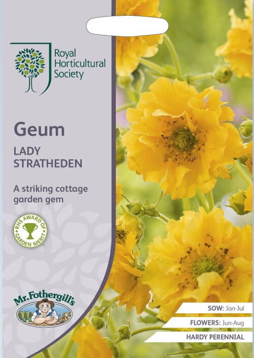 RHS zaden Geum Lady Stratheden