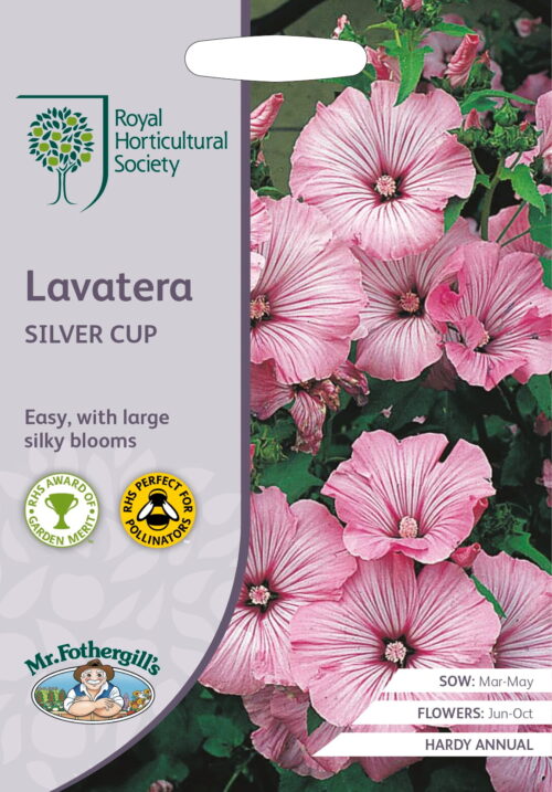 Zaden RHS Lavatera Silver Cup