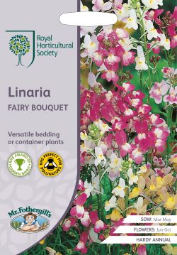 RHS zaden Linaria Fairy Bouquet