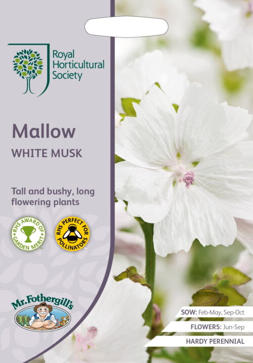 Zaden RHS Mallow White Musk