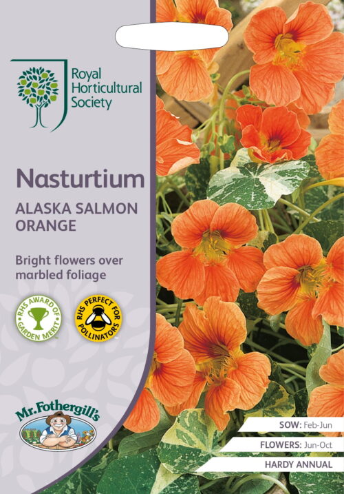 Zaden RHS Nasturtium Alaska Salom Orange