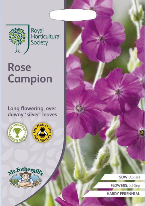 Prikneus Rose Campion RHS Zaden